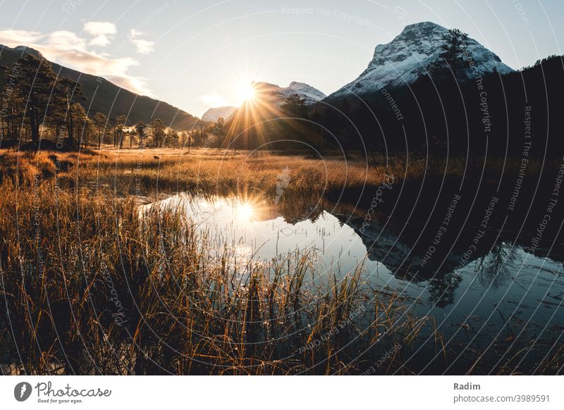 Sonnenaufgang im Innerdalener Tal Morgen Nebel Landschaft Wald Herbst Licht Wolken Feld Wiesen Norwegen Umwelt Außenaufnahme Natur Farbfoto See Wasser