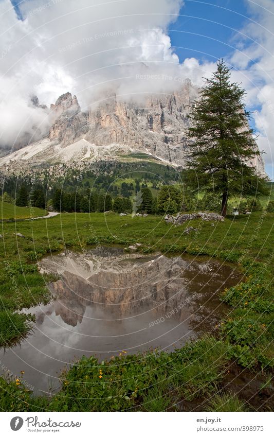 Wolkenkratzer Ferien & Urlaub & Reisen Tourismus Abenteuer Freiheit Sommerurlaub Berge u. Gebirge wandern Natur Landschaft Pflanze Wasser Klima Wetter Nebel