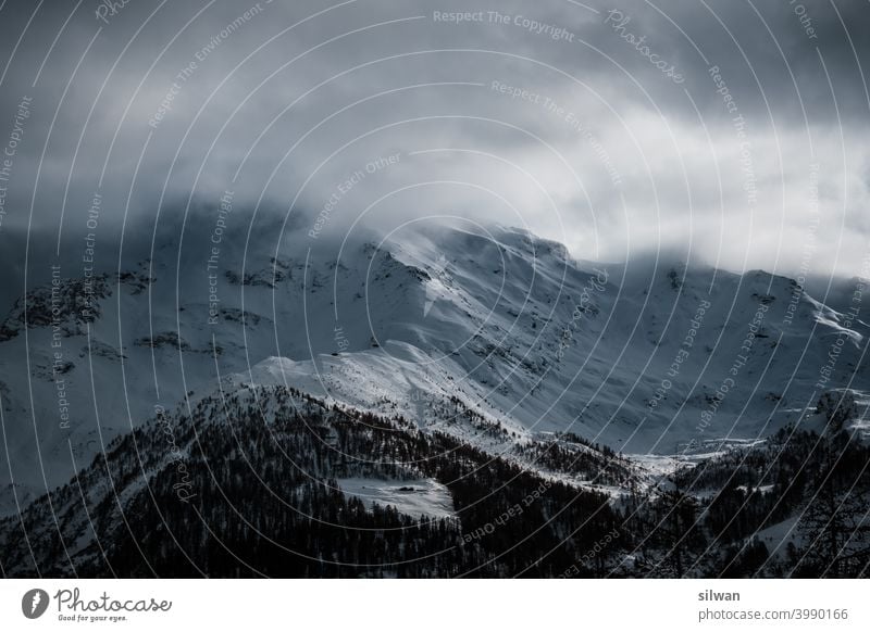 Nebelgipfel Schnee Winter gefroren kalt Felsen felsig winterlich gefrorener Boden Kälte Gratwanderung Berge u. Gebirge