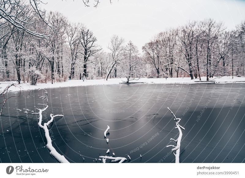 Winterlicher Karpfenteich im Treptower Park II Naturphänomene Gefahr einbrechen Städtereise Sightseeing Naturwunder gefroren Frost Eis Naturerlebnis