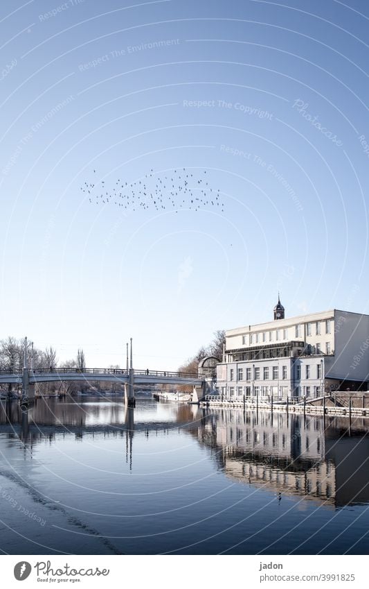 nah am wasser gebaut (2). Fluss Brücke Architektur Stadt Außenaufnahme Wahrzeichen Gebäude Sehenswürdigkeit Altstadt Ferien & Urlaub & Reisen Städtereise