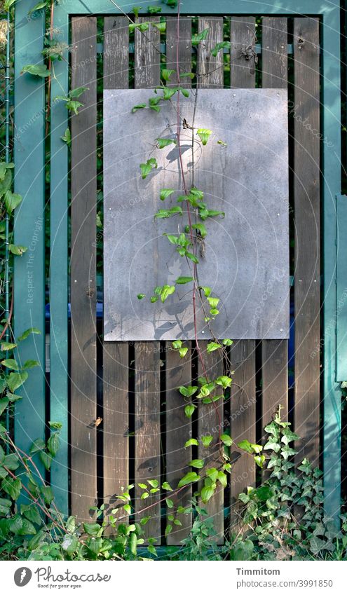 Es gibt derzeit nichts zu vermelden Tor Zaun Metall Holz Tafel Hinweisschild leer Gewächs wuchernd Schilder & Markierungen Farbfoto Außenaufnahme Licht Schatten