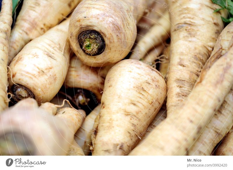 Pastinaken pastinake Gemüse Gesundheit Vegetarische Ernährung frisch lecker Lebensmittel Bioprodukte Gesunde Ernährung natürlich Appetit & Hunger Pflanze