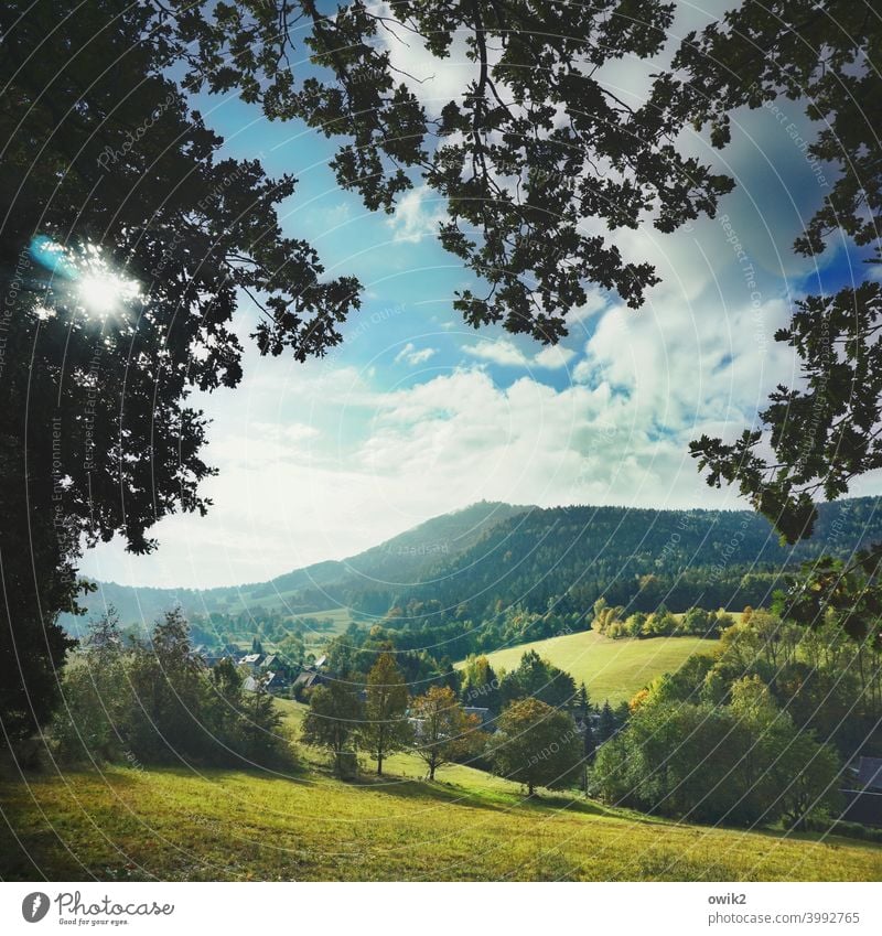 Lausche, Zittauer Gebirge Außenaufnahme Ferne beschaulich Sträucher Baum Gras Umwelt Schönes Wetter Horizont Haus Farbfoto Ostdeutschland Wiese Wald