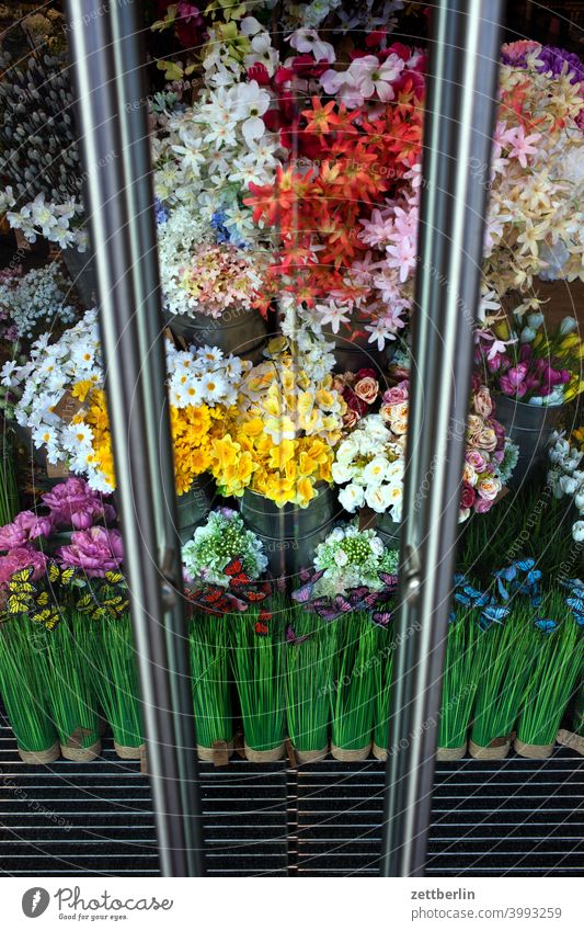 Blumen im Schaufenster blume blüte blühen blumenstrauß bunt farbe farbig blumenladen blumengeschäft sortiment auswahl schaufenster tür glastür scheibe