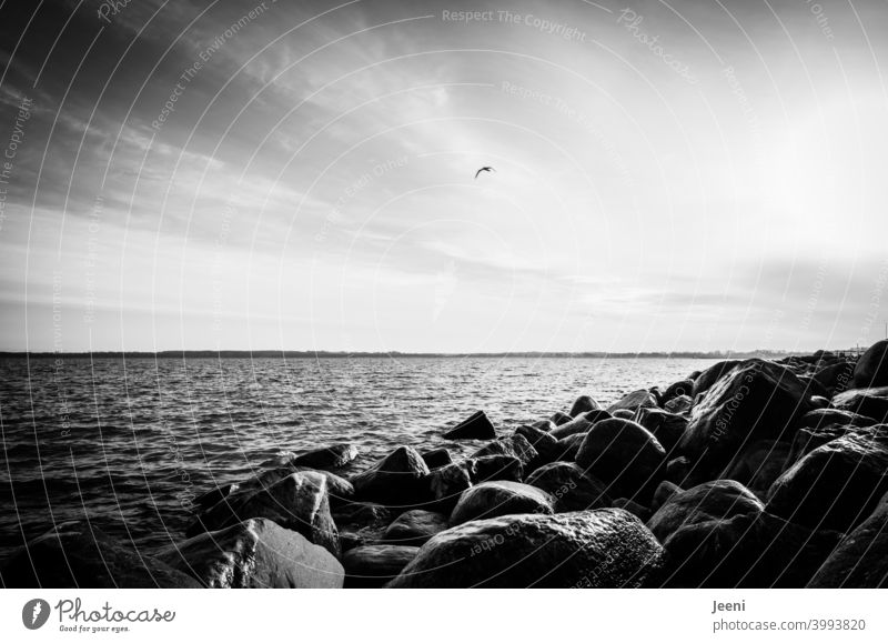 Küstenschutz aus Felsen an der Ostsee Küstenlinie küstenschutz ostseeküste Ostseestrand Strand Wasser Meer Küstenstreifen Sturm Sturmschaden Schutz Überflutung