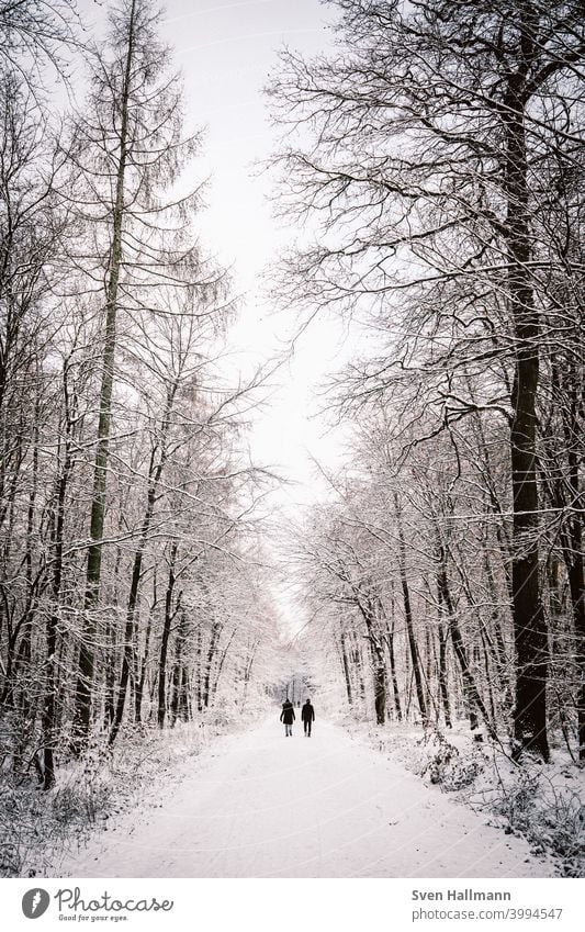 Paar läuft durch verschneiten Wald Glück Mann Frau Partnerschaft Zusammensein couple Liebespaar Vertrauen Zuneigung harmonisch Ehemann Ehefrau Baum Natur