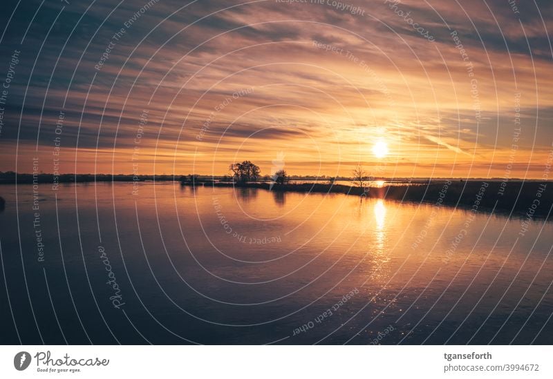 Holter Hammrich Ostfriesland Sonnenuntergang Sonnenlicht Polder Eis Frost Winter Reflexion & Spiegelung Natur Außenaufnahme Farbfoto kalt Menschenleer Licht