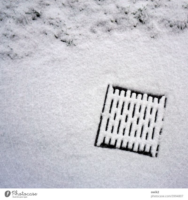 Schneegully Gullydeckel schnee Schneedecke Winter weiß kalt Menschenleer Außenaufnahme Eis Natur Schneelandschaft Farbfoto Frost Straßenrand Gitter