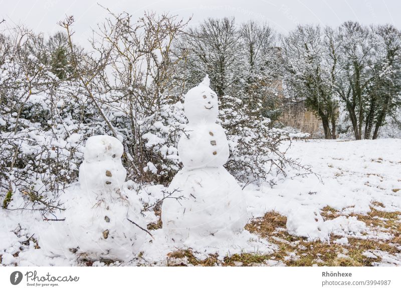 Die Schneemänner als Wächter der Burgruine...trotzen dem Wetter Winter weiß Frost Menschenleer Farbfoto Außenaufnahme Natur Landschaft Gedeckte Farben Tag kalt