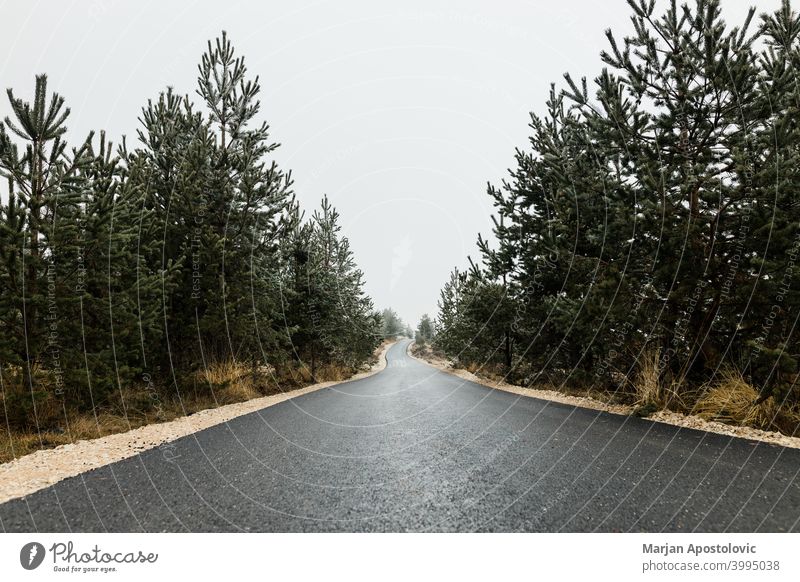 Leere Bergstraße im Herbst bedeckten Tag Asphalt Land Landschaft Laufwerk Fahrweg leer Umwelt Europa Immergrün Laubwerk Wald Forstwirtschaft Reise Fahrspur