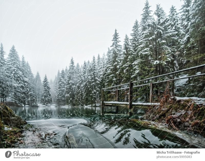 Waldsee im Winter Pfanntalsteich Oberhof Thüringen Thüringer Wald See Wasser Schnee Steg Bäume Geländer Spiegelungen Reflexion & Spiegelung Natur Landschaft