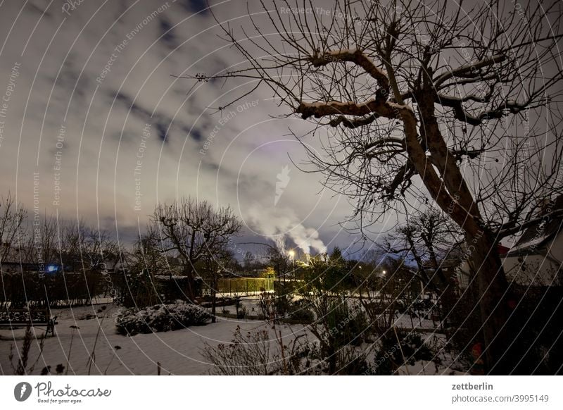 Garten im Winter abend ast baum dunkel dämmerung erholung ferien garten himmel kleingarten kleingartenkolonie menschenleer nacht natur pflanze ruhe schnee