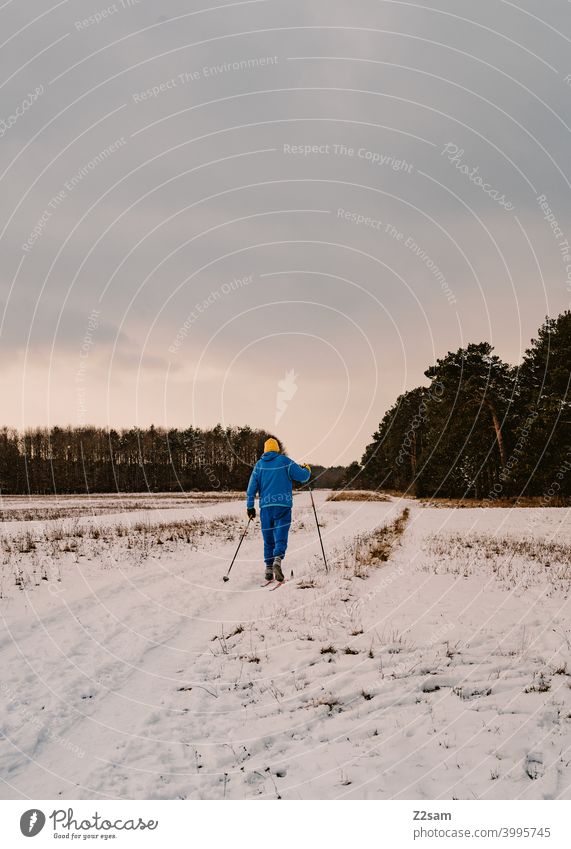 Skilangläufer winterspaziergang skilanglläufer skilanglauf schnee wald himmel sonne sport bewegung gesundheit entspannung einsam Winter Sport Außenaufnahme