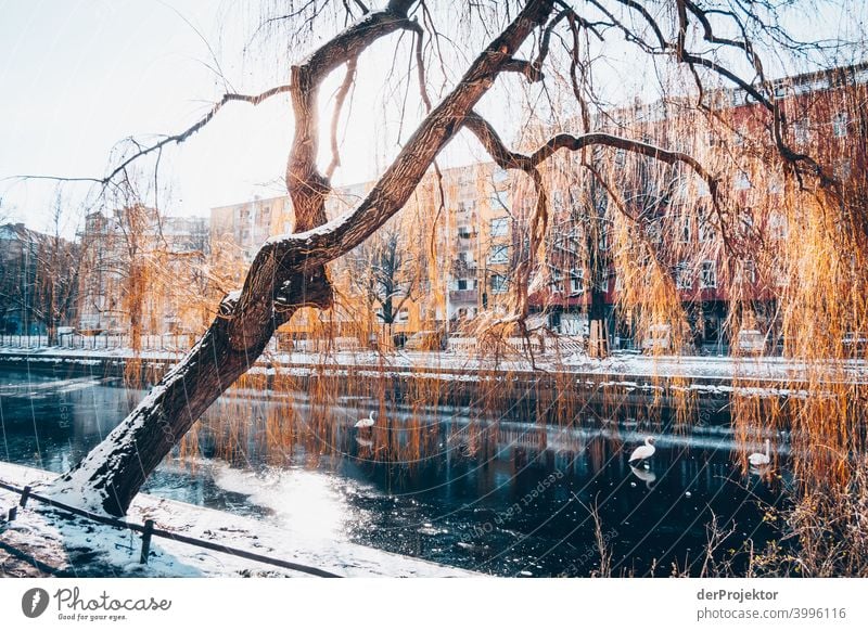 Landwehrkanal im Winter in Kreuzberg Mauer Wand trendy Licht Tag Textfreiraum Mitte Außenaufnahme Experiment Textfreiraum oben Berlin Farbfoto Himmel (Jenseits)