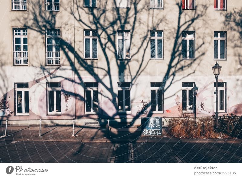 Baumschatten im Winter in Kreuzberg Mauer Wand trendy Licht Tag Textfreiraum Mitte Außenaufnahme Experiment Textfreiraum oben Berlin Farbfoto Himmel (Jenseits)