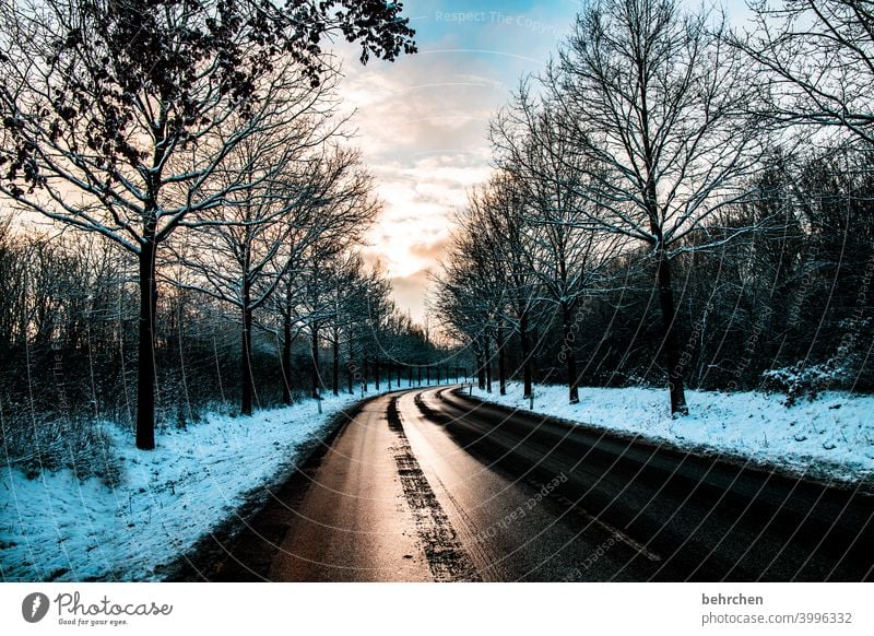 winterglanz Glanz Straße Wege & Pfade Sonnenaufgang Wolken Klima Schnee Schneefall ruhig Himmel Winter Umwelt Natur Landschaft Frost Bäume Winterlandschaft kalt