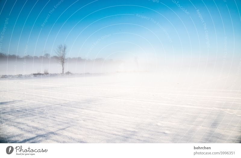 aufgeblasen | schneesturm Klima traumhaft schön idyllisch Schneedecke Schneelandschaft Heimat Acker Märchenhaft Winterspaziergang Winterstimmung Wintertag