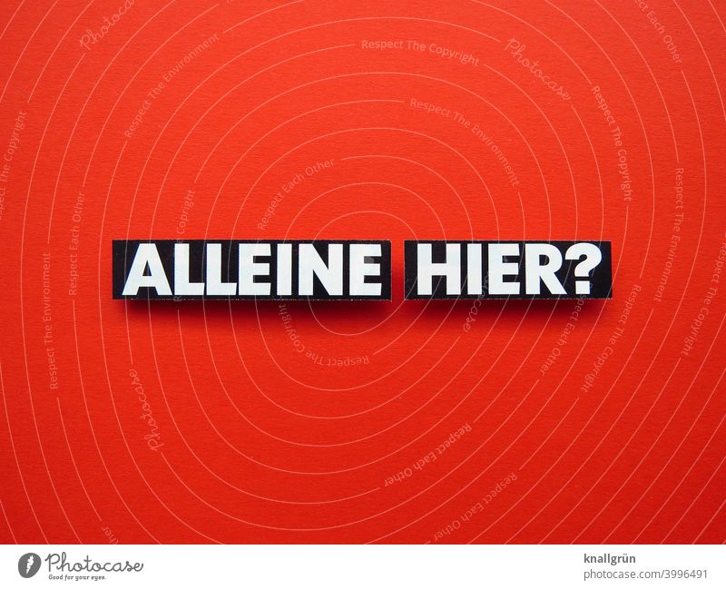 Alleine hier? alleine Fragen Quarantäne Coronavirus Schutz Pandemie anmachend Flirten Flirtversuch anbaggern Kontakt 1 Person Menschenleer Buchstaben Wort Satz