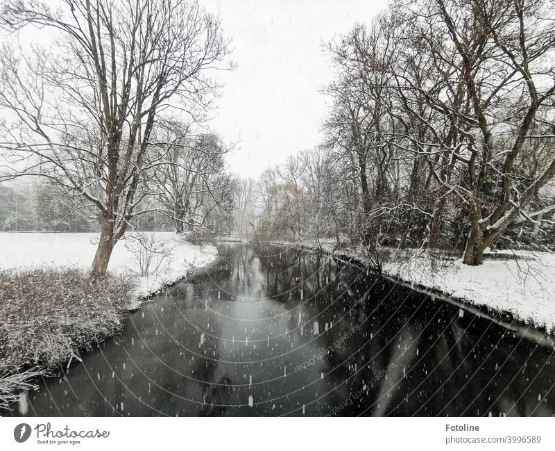 Winterlandschaft im Schneefall Landschaft Winterstimmung Wintertag kalt Natur Schneelandschaft weiß Baum Bäume Wald Winterwald Außenaufnahme Menschenleer Frost