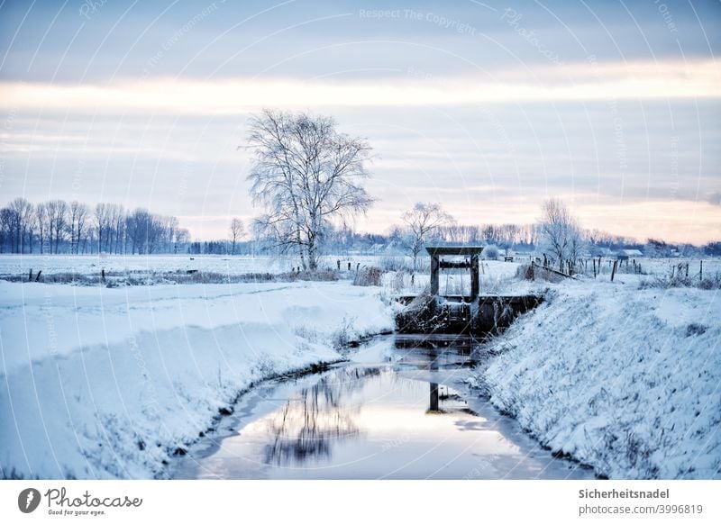 Winterlandschaft Schnee weiß Eis kalt Frost Natur gefroren frieren Menschenleer Winterstimmung Außenaufnahme Wintertag Schneelandschaft Fleet Graben