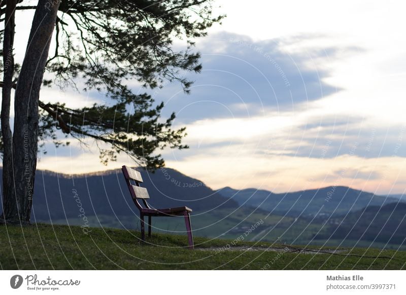 Bank mit Aussicht und Bergen im Hintergrund sitzen Natur Sonnenlicht Himmel Auszeit Pause Freiheit Blick Alb Schwäbische Alb Kiefer Wiese Abend Abenddämmerung