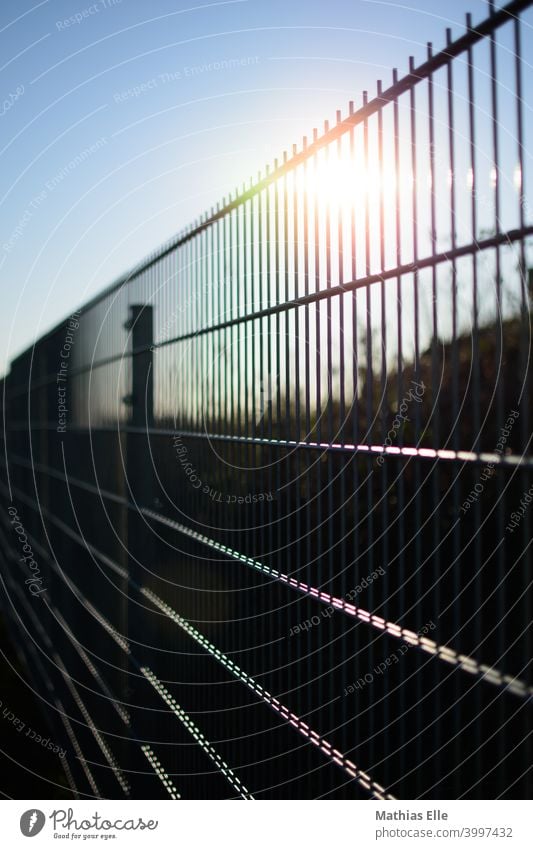 Gartenzaun Ordnungsliebe Nahaufnahme Rettung Wachsamkeit abgezäunt Gartenbau Sonne Kontrolle festhalten Außenaufnahme Zaun Strukturen & Formen gefangen