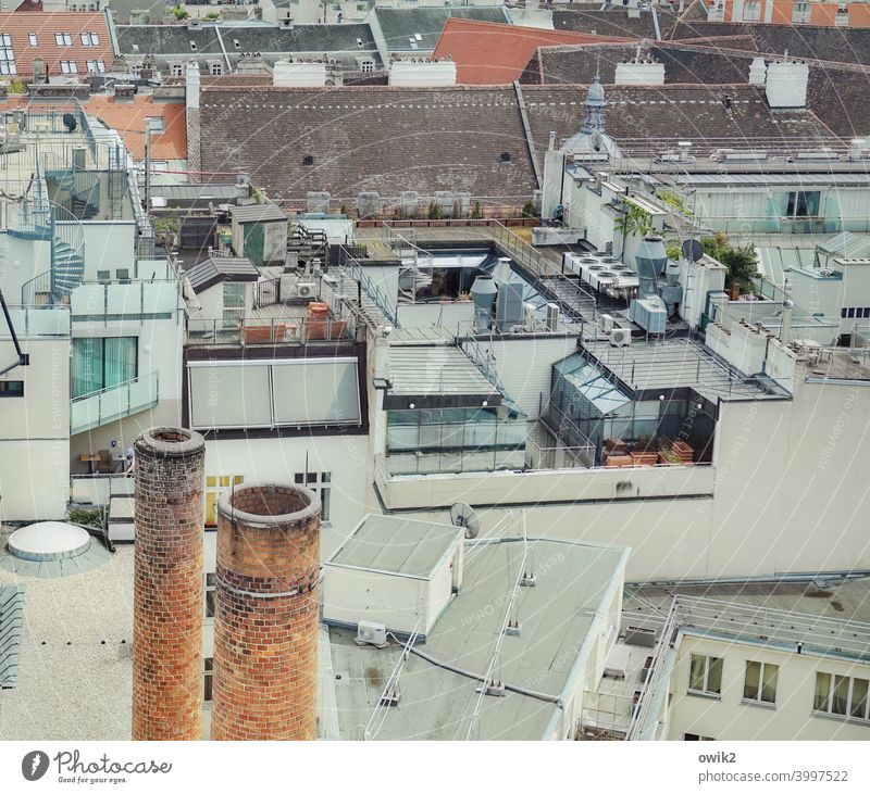 Obendrein Wien Großstadt Häusermeer Hauptstadt Fenster Außenaufnahme Panorama (Aussicht) Österreich Ausblick Farbfoto Stadt Haus Gebäude Schornsteine Licht