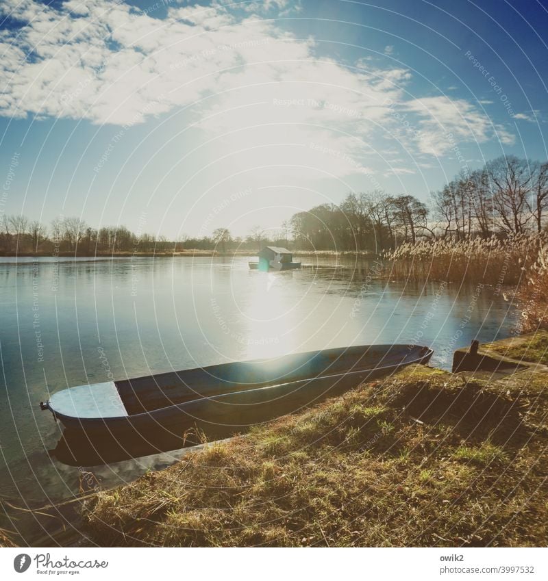 Barke Umwelt Natur Landschaft Horizont Wolken Himmel Wasser Pflanze Schönes Wetter Baum Gras Sträucher Seeufer Lausitz Deutschland Fischerboot Kahn Metall