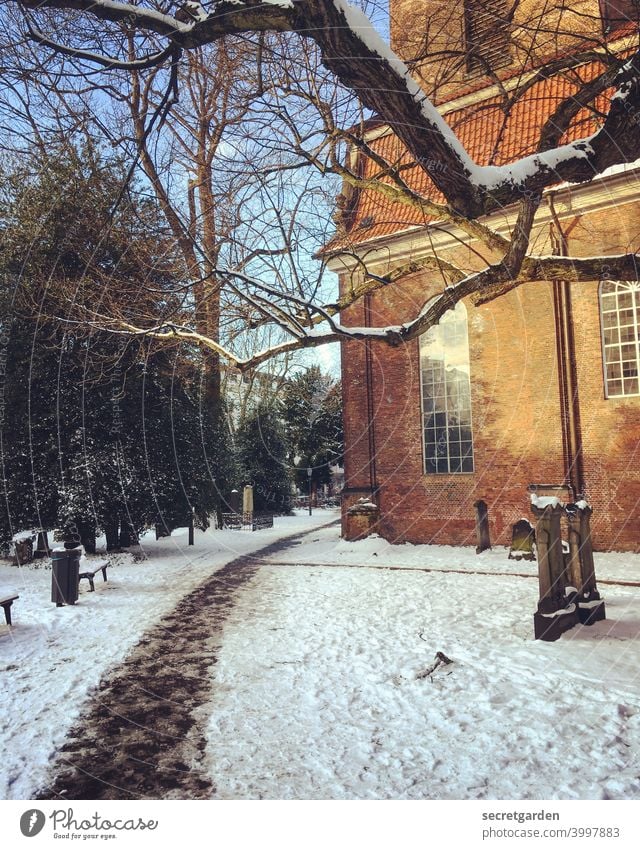 Die Biegung machen.... Kirche Hamburg Altona Weg Wege & Pfade Wegbiegung Friedhof Architektur Baum Winter Schneedecke Außenaufnahme Menschenleer kalt weiß Frost