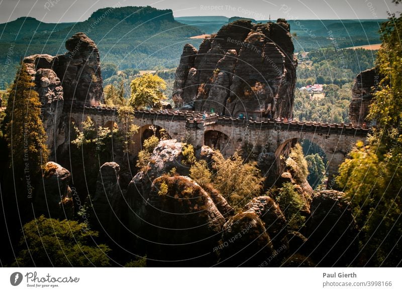 Bastei Brücke im Sommer bastei Brücke Elbsandsteingebirge Felsen Berge u. Gebirge Sächsische Schweiz Tourismus Außenaufnahme Sachsen Landschaft Sandstein