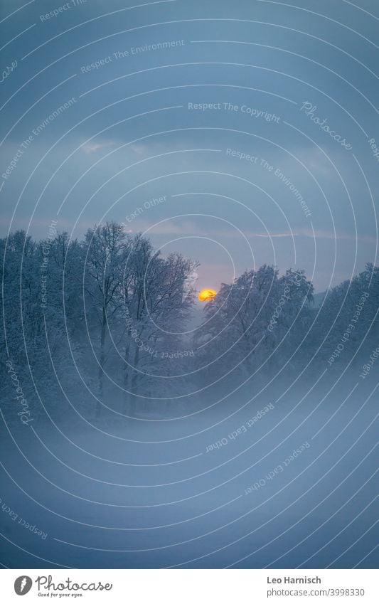 Orangener Sonnenball in nebeliger Schneelandschaft Nebel Sonnenuntergang Winter Januar Natur kalt Baum Landschaft Eis Frost Raureif Wald Außenaufnahme Dezember