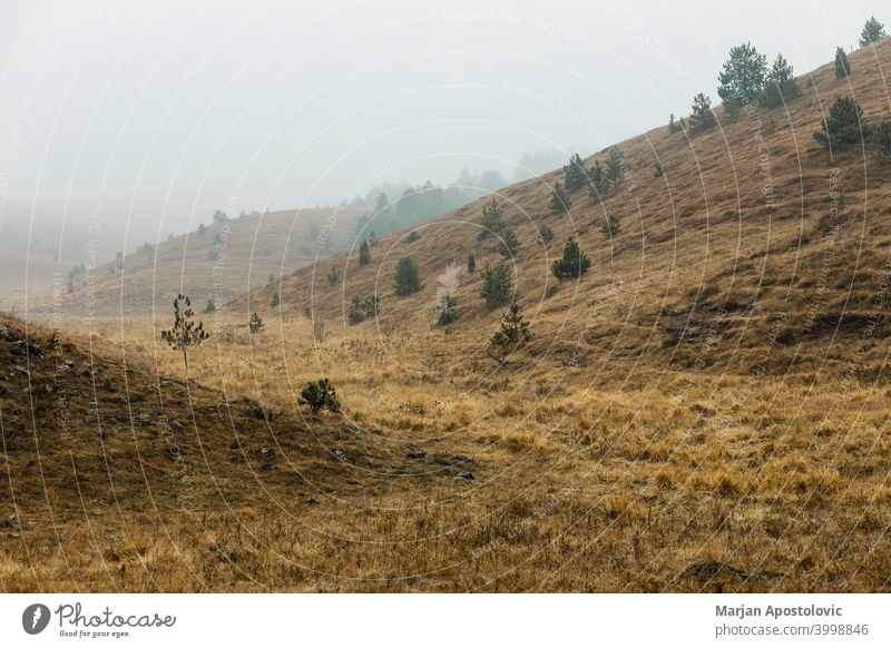 Blick auf die neblige Wiese am Wintermorgen Herbst Hintergrund schön wolkig kalt Landschaft Morgendämmerung früh Umwelt Europa fallen Ackerland Feld Nebel Gras