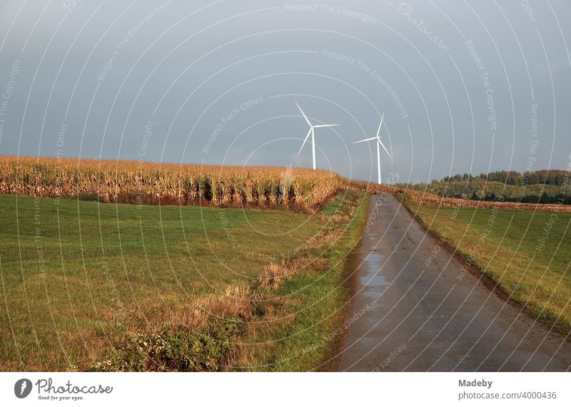 Weiße Windräder am Horizont am Ende einer Straße durch Wiesen und Felder bei Regenwetter in Gembeck am Twistetal im Kreis Waldeck-Frankenberg in Hessen Windrad