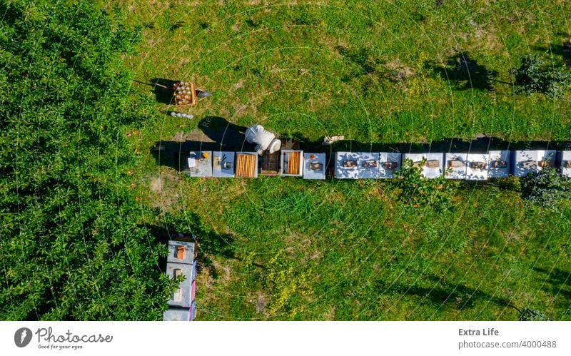 Luftaufnahme von Imker, Imker arbeitet im Bienenstock, Reihe von Bienenstöcken, Bienenfarm oben Antenne Ackerbau Bienenkorb Bienenzucht angeordnet brüten