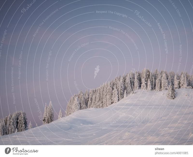 gefrorener Waldhügel Naturpark Gantrisch Schnee Winter kalt Felsen felsig winterlich gefrorener Boden Kälte Berge frozen Frost frostig Bäume Spuren Fußspuren