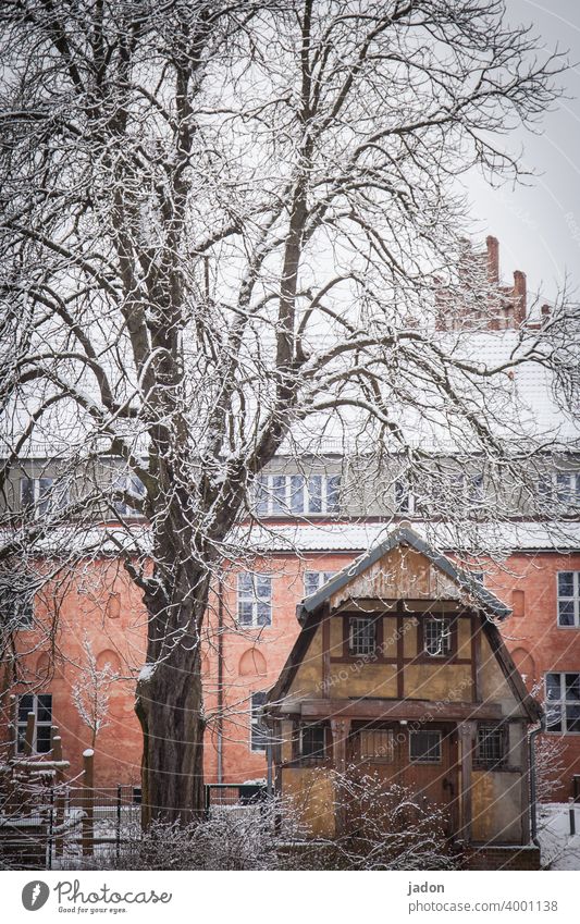 baum, haus, schnee. Haus Winter Schnee Baum kalt Eis weiß Raureif gefroren Natur Ast Bootshaus Frost Pflanze Menschenleer Kristallstrukturen Jahreszeiten