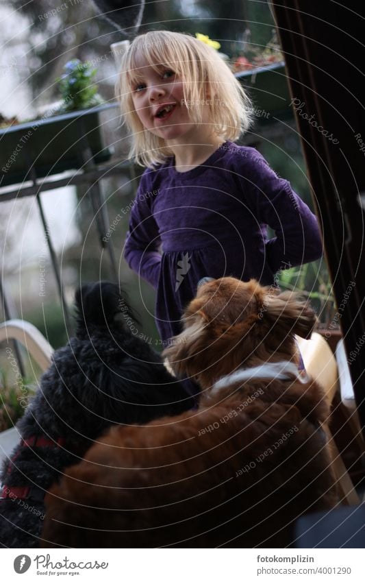 Kind mit zwei Hunden Haustier glücklich Tierliebe Kinder und Tiere Mensch und Hund Kindheit Mensch und Tier Mädchen Freundschaft Haushund Mädchenportrait