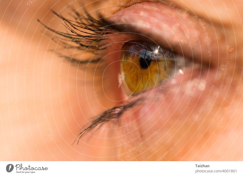 schöne Frau gelbes grünes Auge . Makro, Nahaufnahme. Blick Schönheit niedlich blinzeln Abschluss Blickfang Augenbraue Wimpern Phantasie glühend Regenbogenhaut