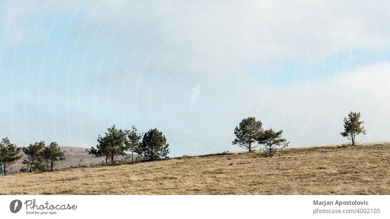 Hügelige Wiese in den Bergen Abenteuer Herbst Hintergrund schön blau Wolken Landschaft Tag Umwelt Europa erkunden Feld Gras Grasland Hügelseite idyllisch