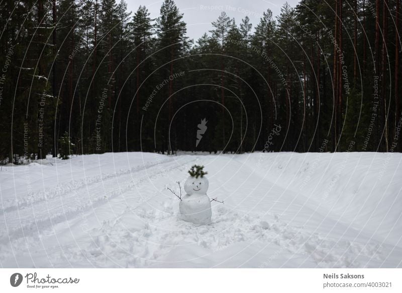 Schneemann Gruß auf einem Waldweg Weihnachten kalt Land Frost gefroren Eis Landschaft Natur niemand im Freien Park Straße Saison Lächeln verschneite Bäume weiß