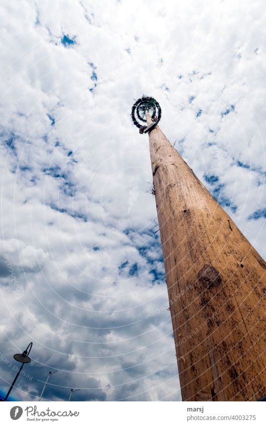 Ich stelle dir einen Maibaum auf 1. Mai Baumstamm Tradition Brauchtum Frühling Feste & Feiern Fruchtbarkeit Fruchtbarkeitssymbol Himmel dramatischer himmel