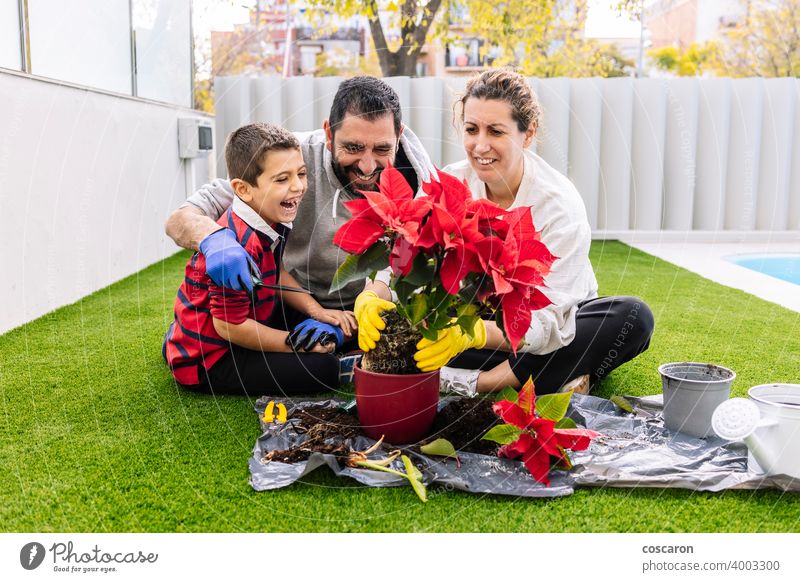 Glückliche Familie im Garten pflanzt Blumen bezaubernd Blüte Junge Kind Kindheit Landschaft Papa Bildung Umwelt umgebungsbedingt Landwirt Vater Väter Gärtner