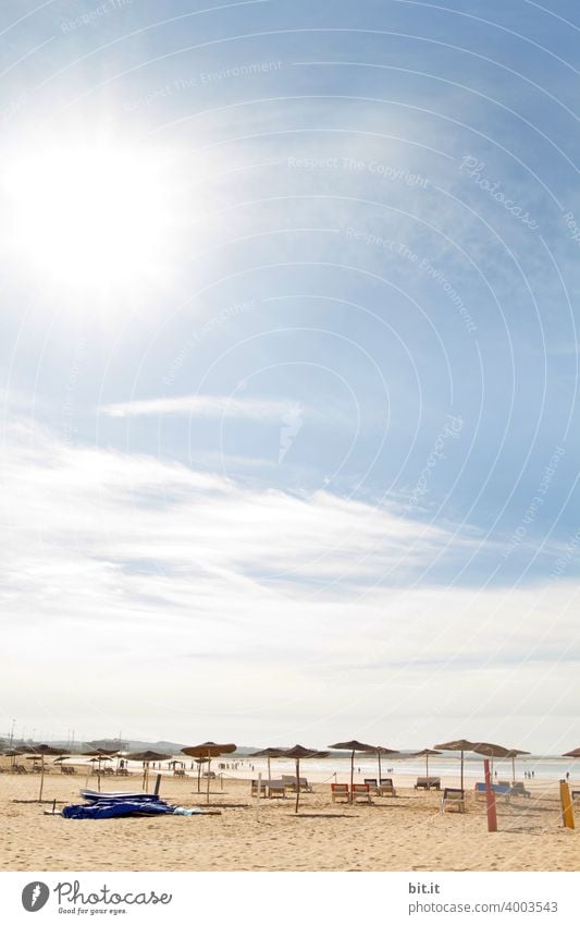 Hier sind noch Plätze frei. Essaouira Marokko Strand Menschenleer Licht Schönes Wetter blau Sommer Strandleben Liege Liegestuhl Liegeplatz Sonnenlicht