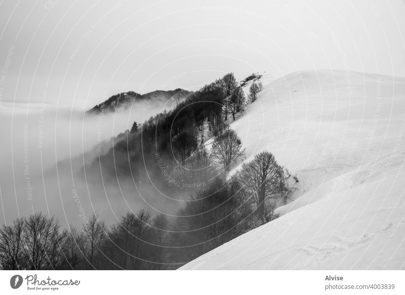 Bäume Wolken und Schnee eins Winter Natur Sonnenaufgang alpin Horizont Landschaft Cloud Berge u. Gebirge Himmel Felsen Hügel Tourismus Gipfel hoch