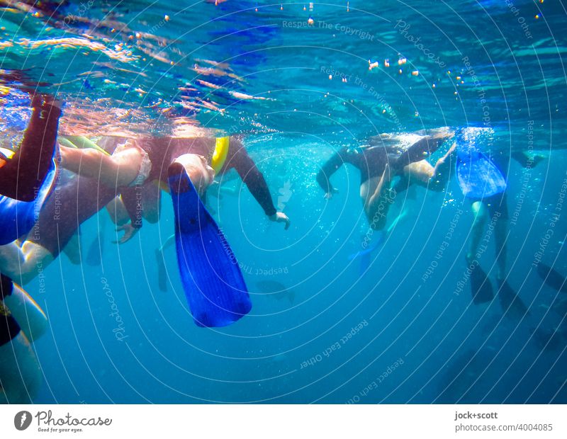 jetzt aber schnell ... schnorcheln und tauchen Schwimmen & Baden Pazifik Leichtigkeit Unterwasseraufnahme Sonnenlicht Wasseroberfläche Schnorcheln Schnorchler