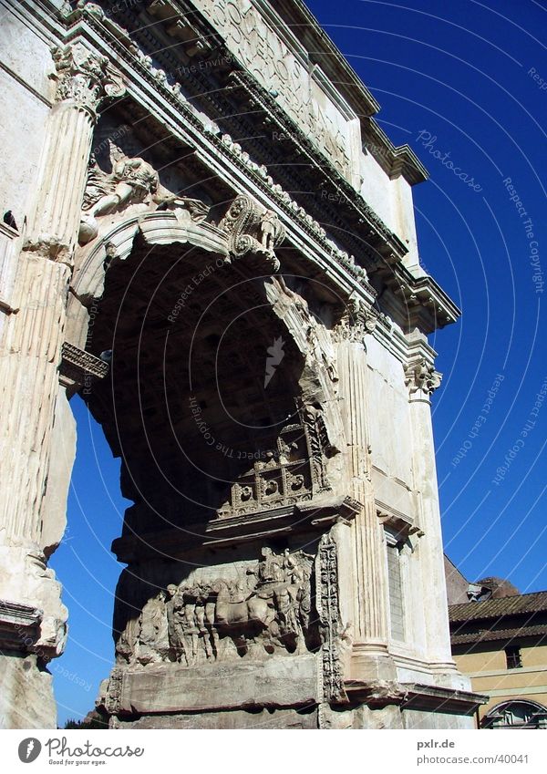 Foro Romano (Rom, Italien) Ferien & Urlaub & Reisen Tourismus Ausflug Städtereise Sommerurlaub Kultur Himmel Wolkenloser Himmel Schönes Wetter Stadt Altstadt