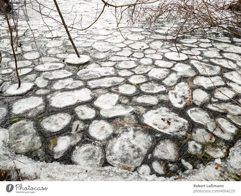 viele runde Eisschollen auf einem See gefroren Meer Frost Scheibe Scholle eingefroren Eiskristalle Hintergrund eisig abstrakt Winter Schnee Wasser Jahreszeit