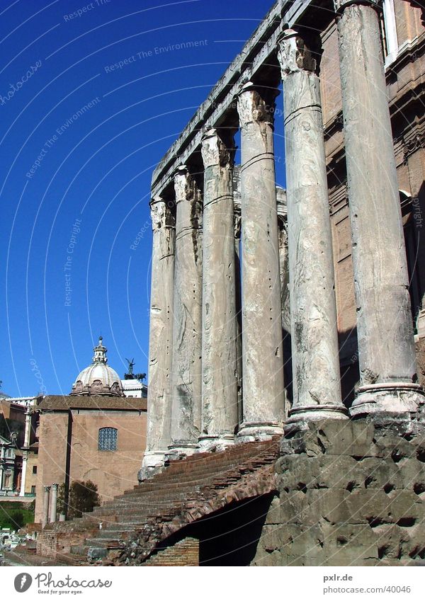 Foro Romano (Rom, Italien) Ferien & Urlaub & Reisen Tourismus Ausflug Städtereise Sommer Kultur Altstadt Treppe Fassade Sehenswürdigkeit Wahrzeichen Denkmal