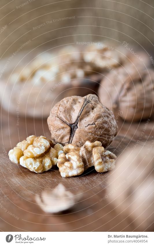 Walnüsse auf Walnussholz . Walnusskerne Schale Holzschale Nuss Nüsse geringe Tiefenschärfe Baumnuss Juglans regia Walnussgewächse Juglandaceae